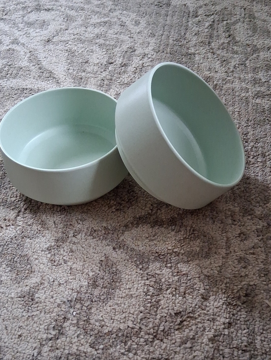 Boots & Barkley Other - Boots & Barkley Light Green Bamboo Melamine Pwt Bowls Set Of 2